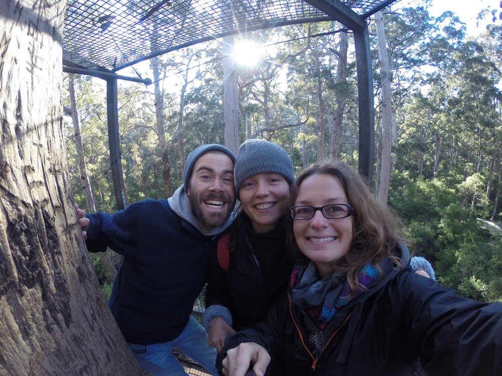 Bicentennial Tree