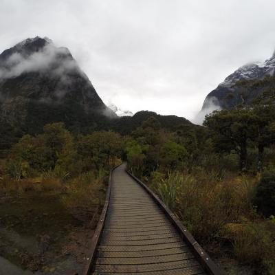 Milford Sound