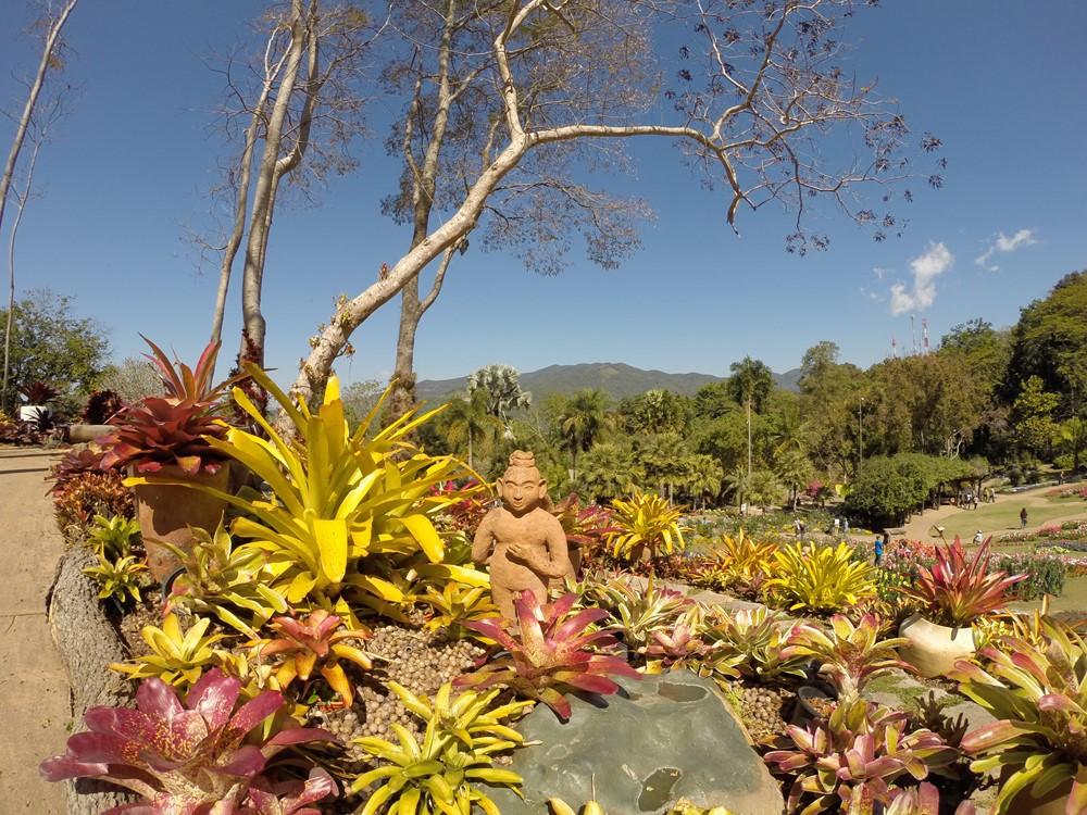 Doi Tung Gardens