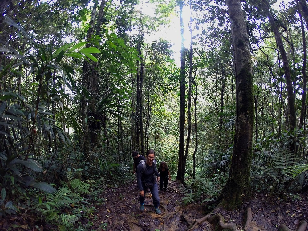 Cameron Highlands