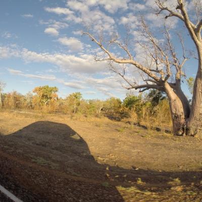 Kununurra