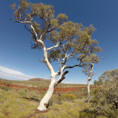 Karijini National Park