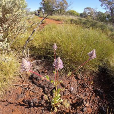 Karijini National Park