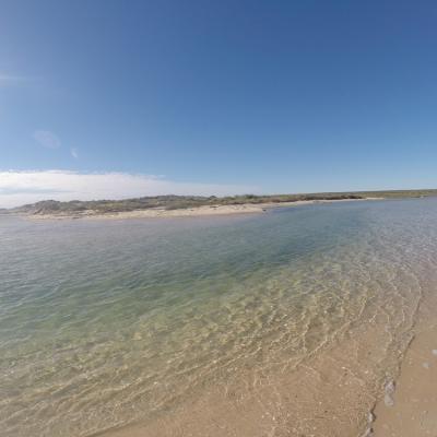 Shark Bay