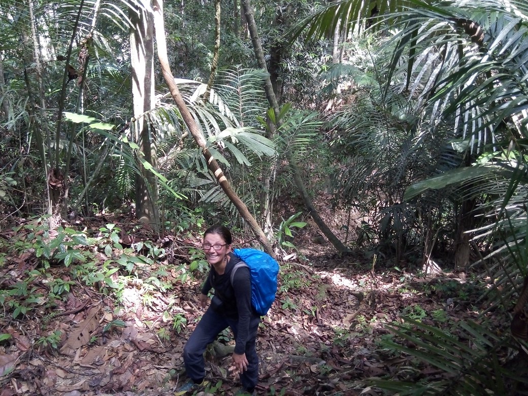 Taman Negara