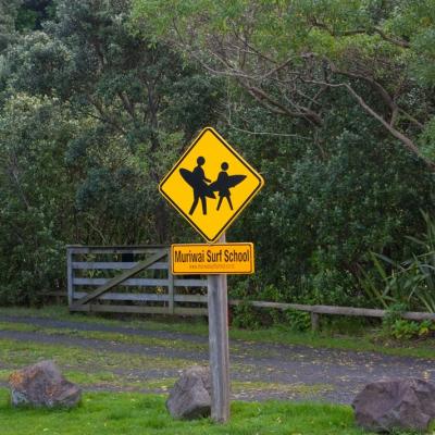 Muriwai beach