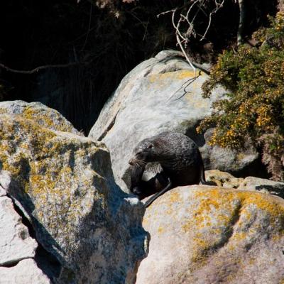 Abel Tasman National Park