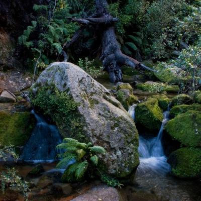 Abel Tasman National Park