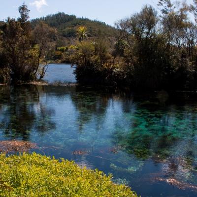 Te Waikoropupu