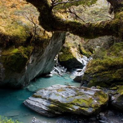 Rob Roy Glacier