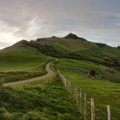 Banks Peninsula