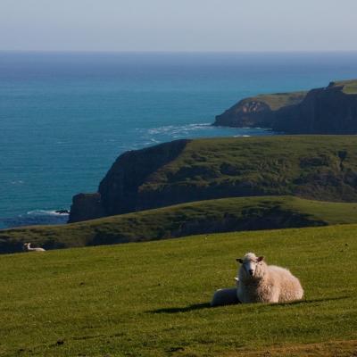 Banks Peninsula