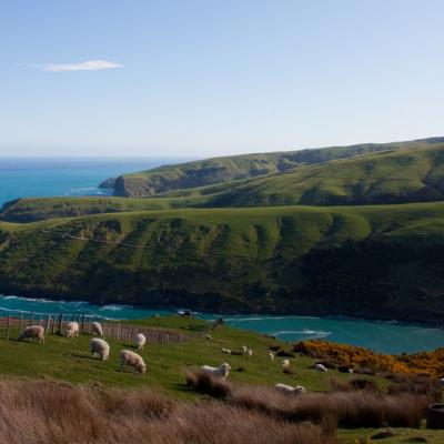 Banks Peninsula