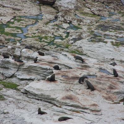 Kaikoura