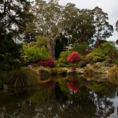 Christchurch Botanic Gardens 