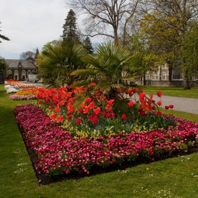 Christchurch Botanic Gardens 