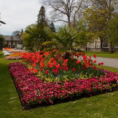 Christchurch Botanic Gardens 