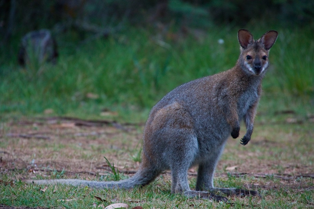 Grampians National Park