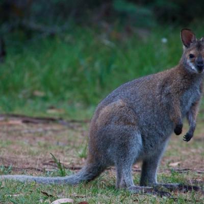 Grampians National Park