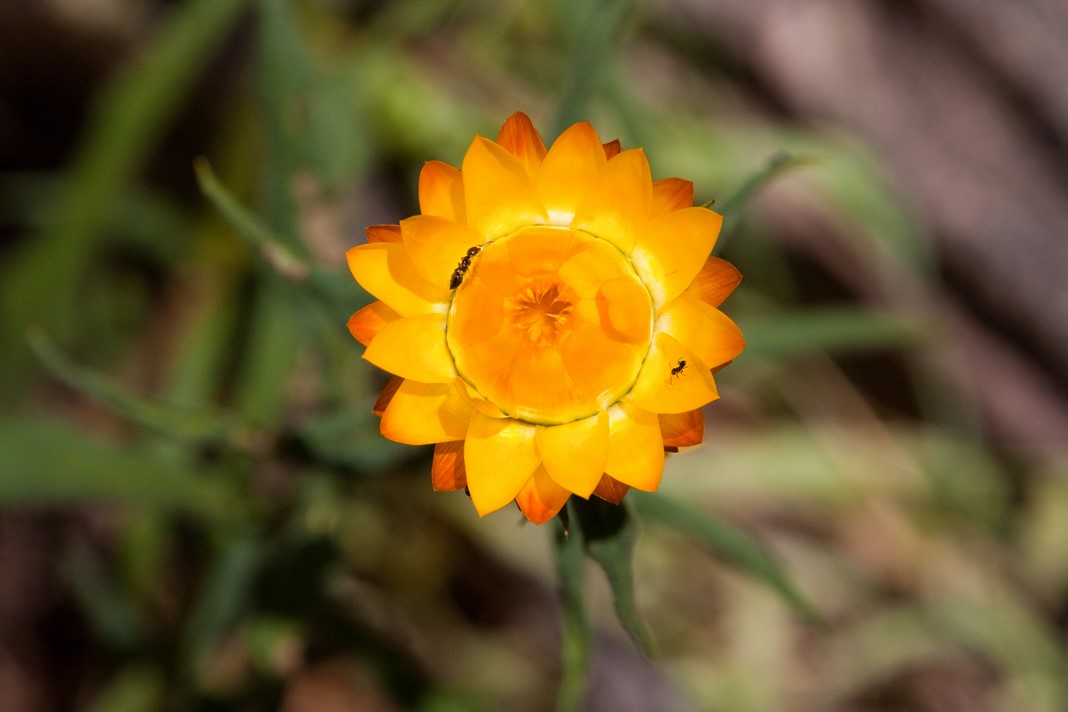 Grampians National Park