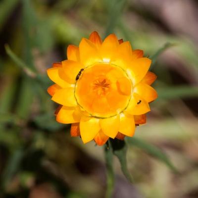 Grampians National Park