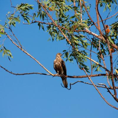 Kakadu National Park