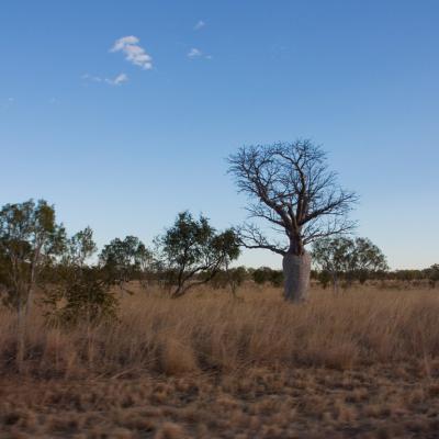 Kununurra