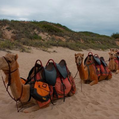 Cable beach