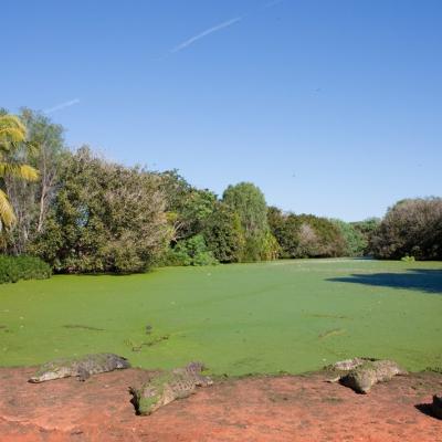 Malcolm Douglas Crocodile Park