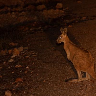 Cape Range National Park