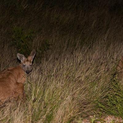 Cape Range National Park