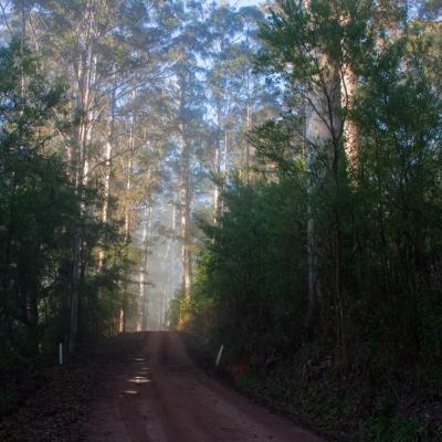 Warren National Park