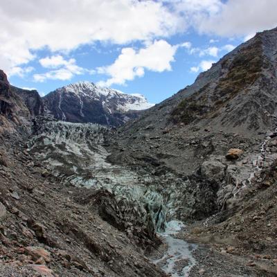 Fox Glacier