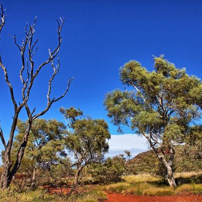 Karijini National Park